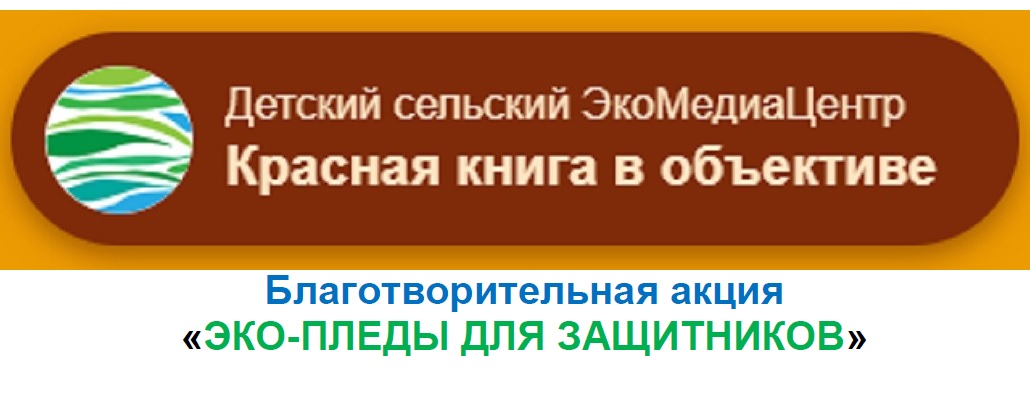 Благотворительная  акция «ЭКО-ПЛЕДЫ ДЛЯ ЗАЩИТНИКОВ».