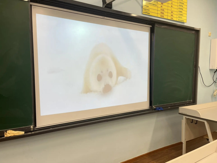 «ХРУПКОЕ ЧУДО ЮГОРСКОГО ЛЬДА: СОХРАНЯЯ БЕЛЬКОВ, СОХРАНЯЕМ ПЛАНЕТУ».