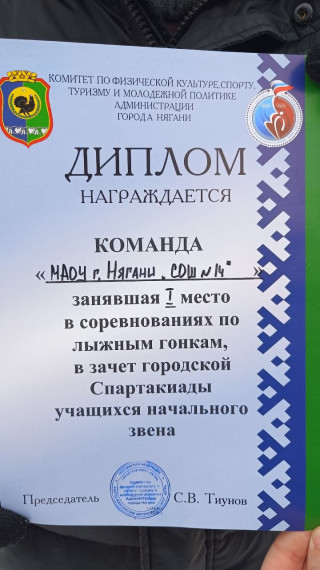 ГОРОДСКИЕ ЛЫЖНЫЕ ГОНКИ.