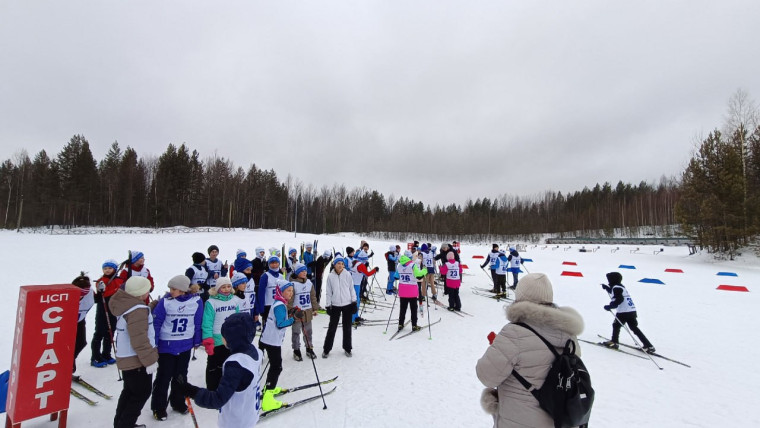 ГОРОДСКИЕ ЛЫЖНЫЕ ГОНКИ.